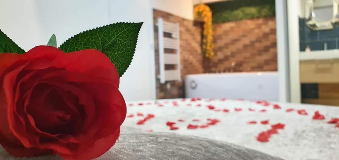 Love Rooms De La Presqu'Ile Saint-Vincent-de-Paul  Zewnętrze zdjęcie